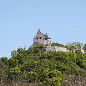 Altenbaumburg auf einem Hügel mit Bäumen und Sträuchern