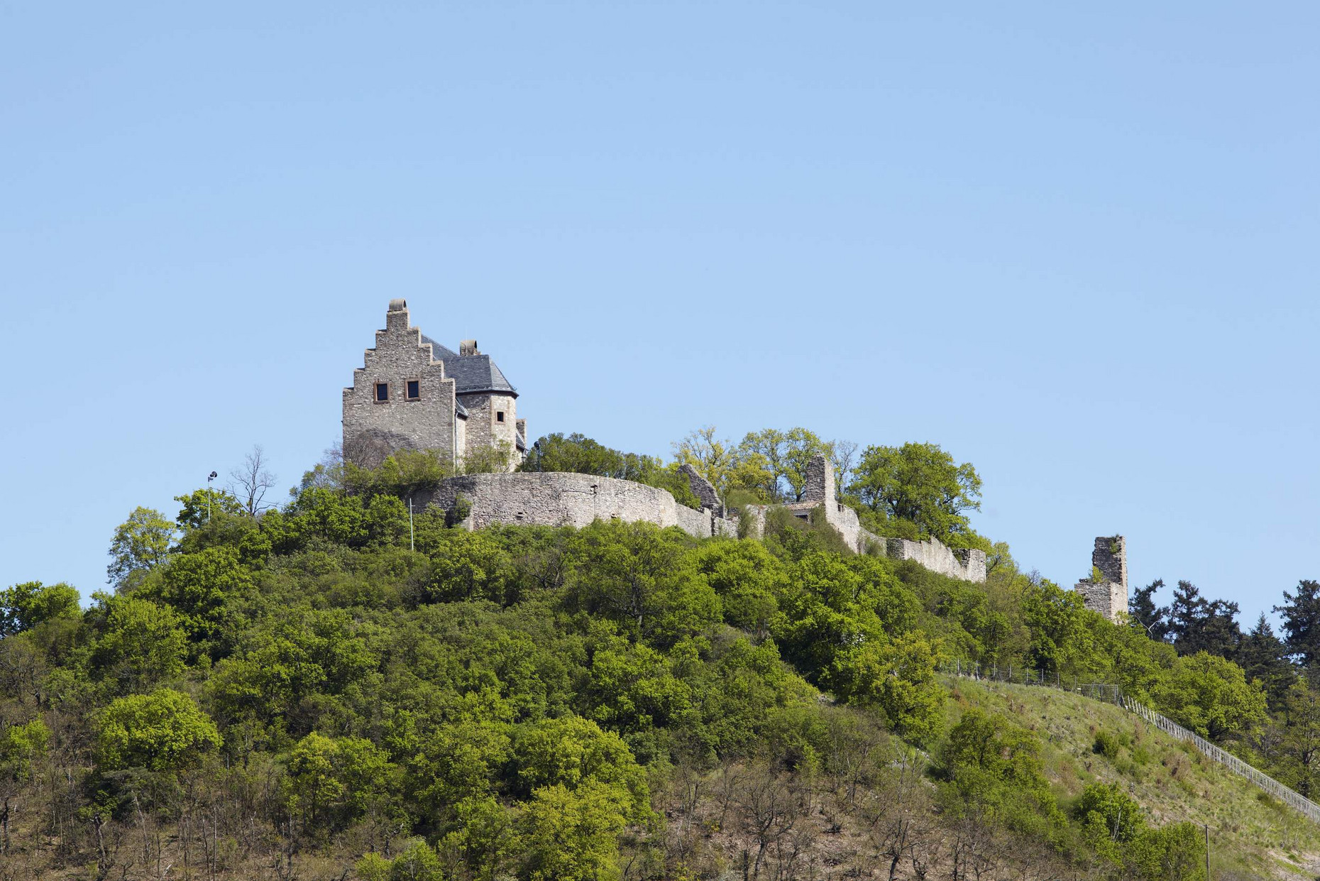 Altenbaumburg auf einem Hügel mit Bäumen und Sträuchern