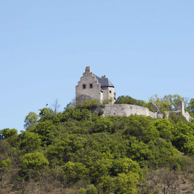 Altenbaumburg auf einem Hügel mit Bäumen und Sträuchern